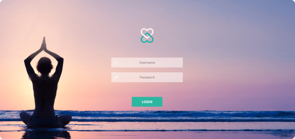 Login Screen