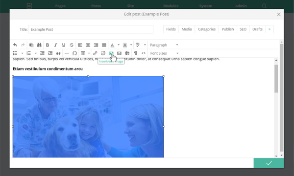 select the image in the content editor