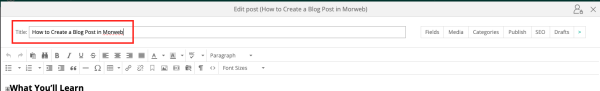 blogwriting3.png