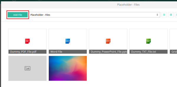 add file button
