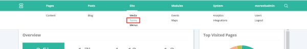 forms option in the backend menu