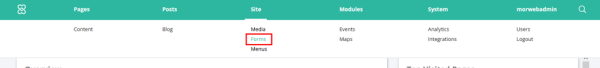 forms item in backend menu