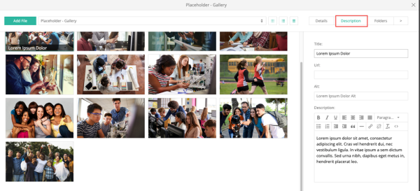 gallery with description tab open