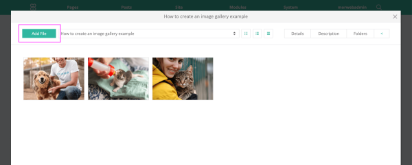 how-to-create-image-gallery3.png