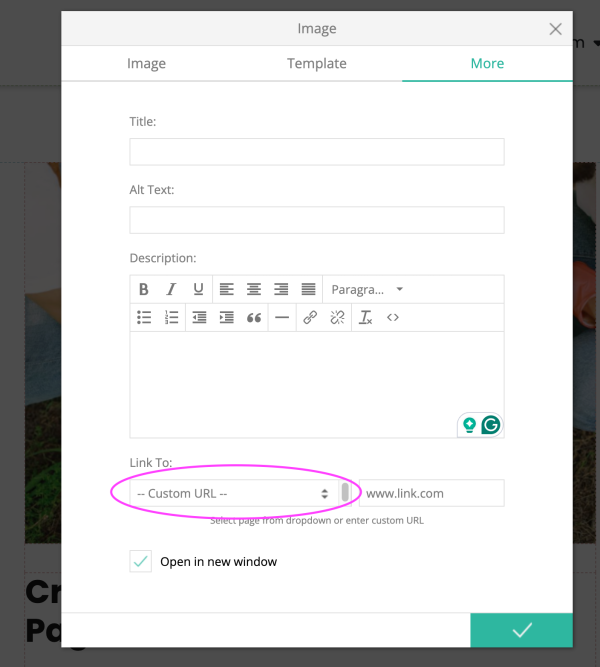 Adding link URL in the Text Editor