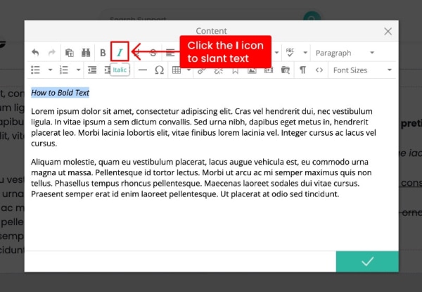 text editor italics button