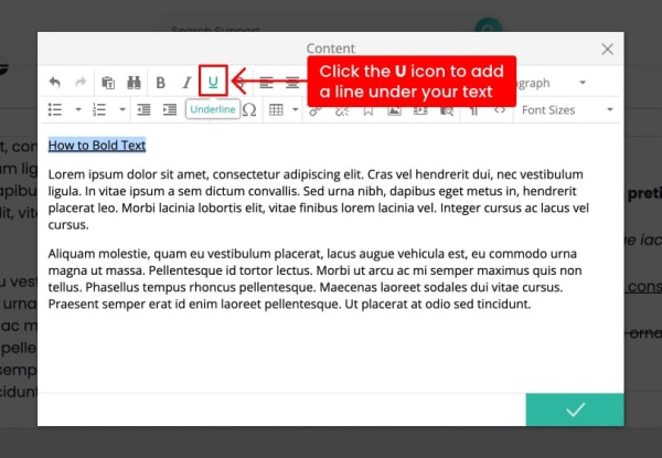 text editor underline button
