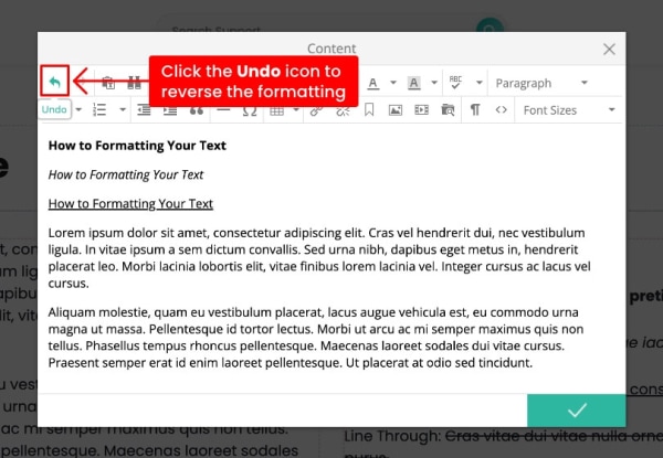 text editor undo button