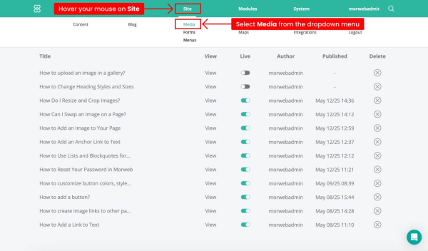 Media option highlighted in the Site menu