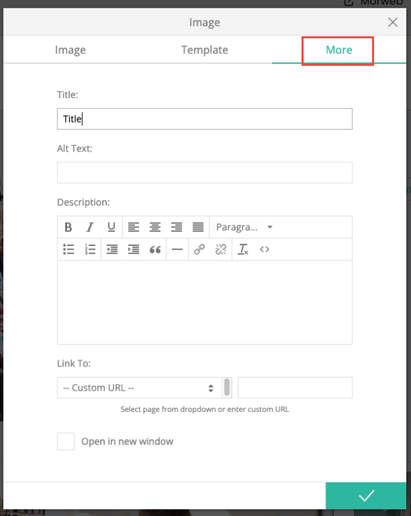 image properties with more tab open