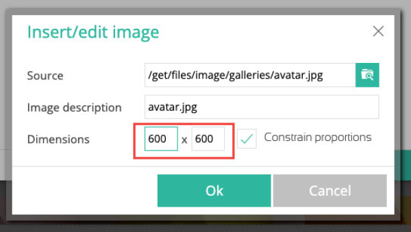 Adjust image size