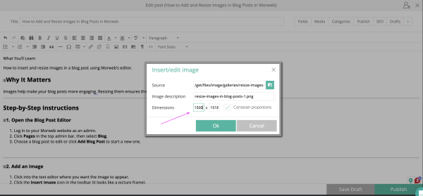 resize-images-in-blog-posts-4.png