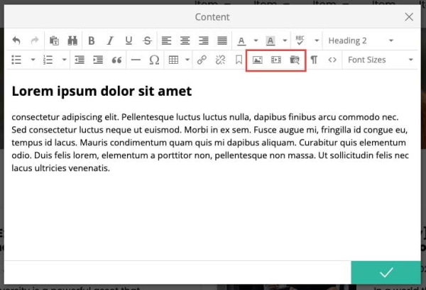 content editor media options